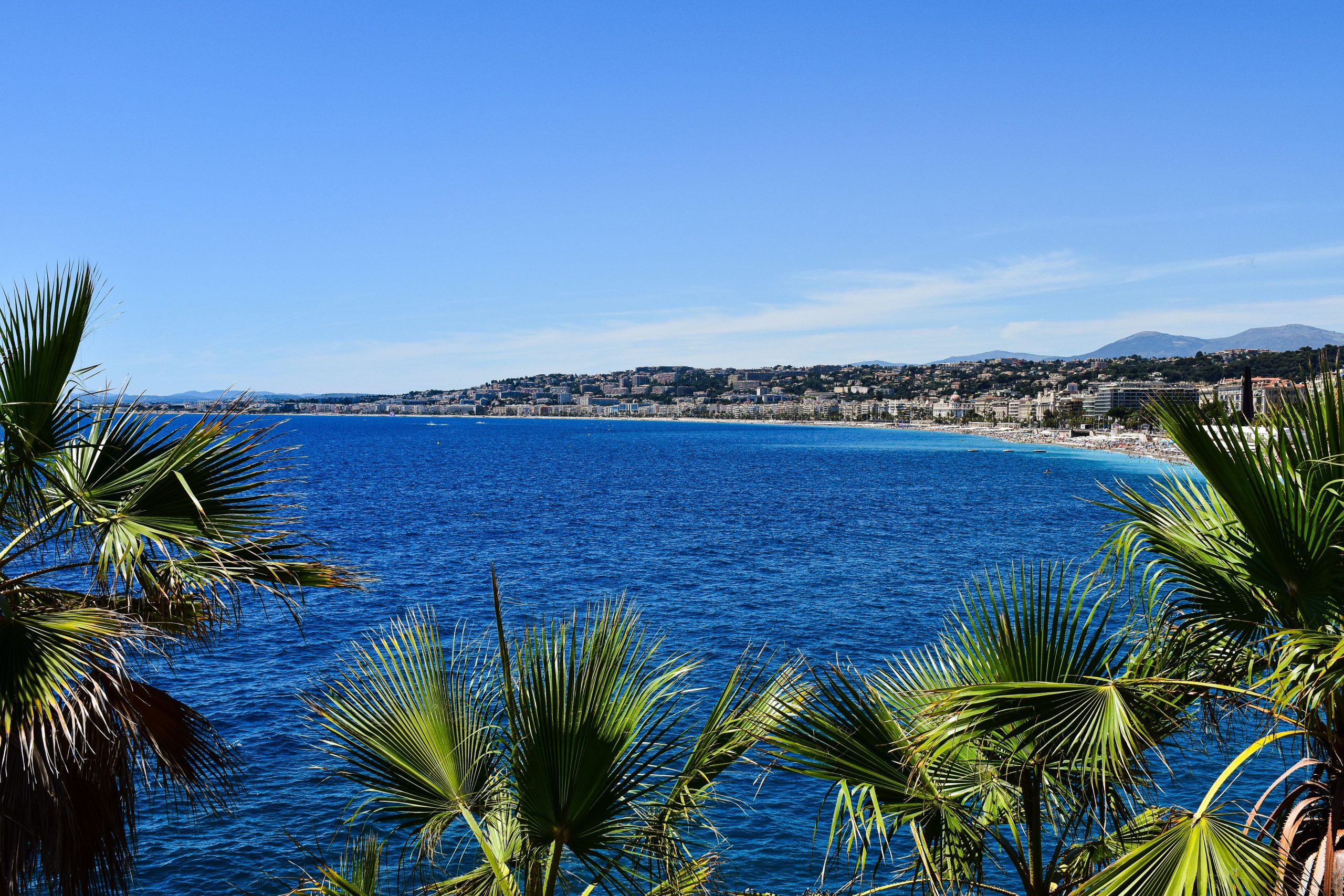Pexels