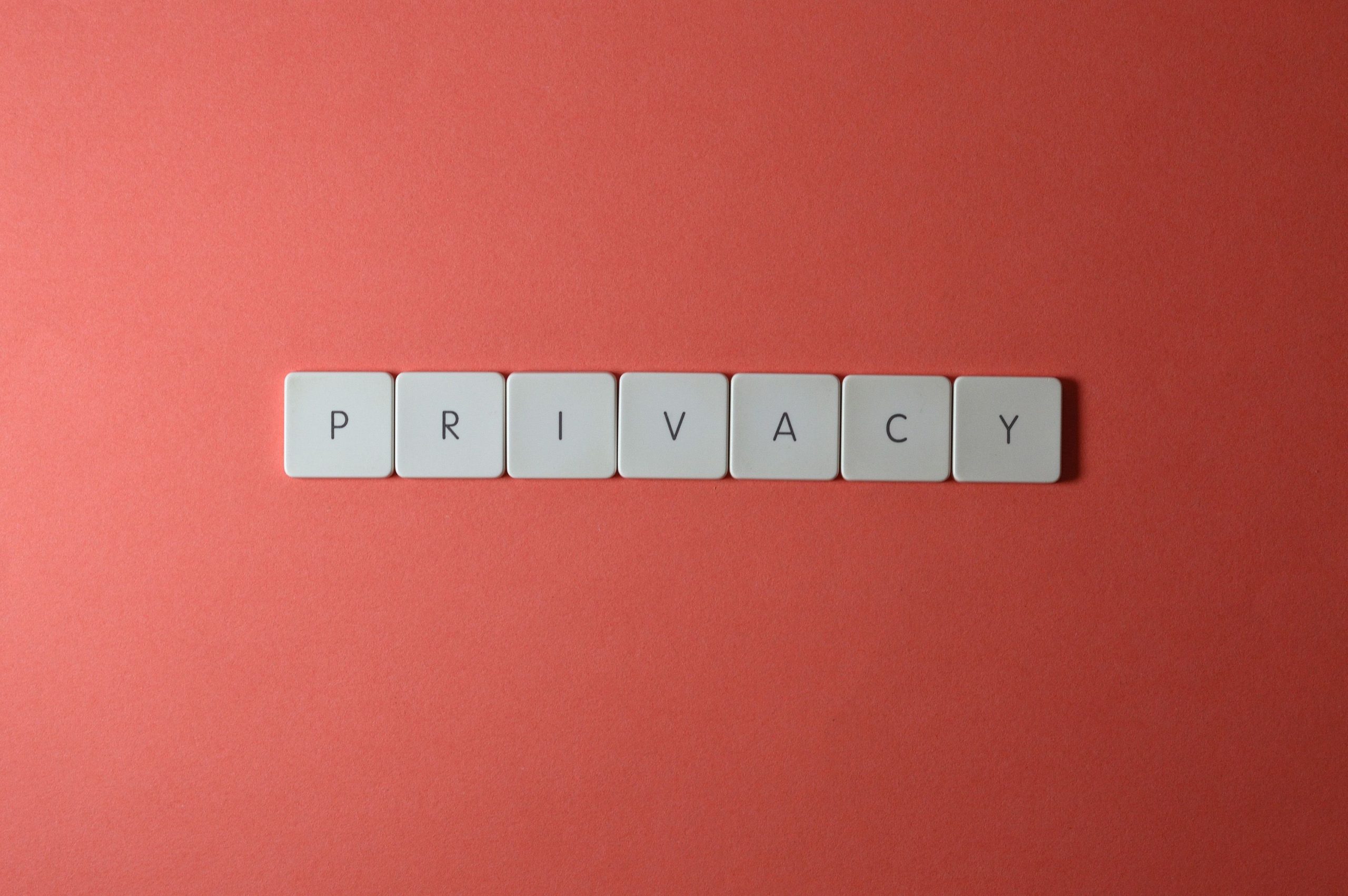 Gizliliğinizi Garantileyen: No-Logs Privacy Vault İncelemesi