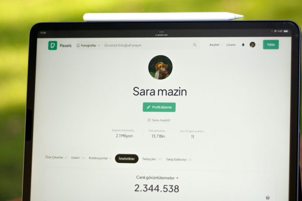 Özel Ağ Köprüsü: Web Sunucuları ve Veritabanı Sunucuları için En İyi Platform